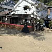 Edo wonderland 