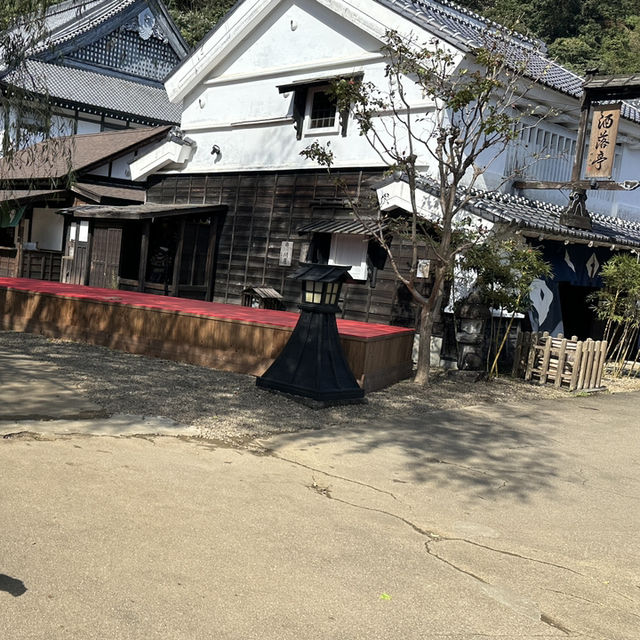 Edo wonderland 