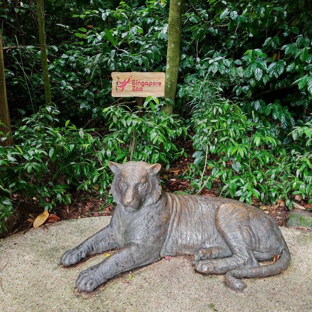 Singapore Zoo and River Wonders - Perfect plan for weekend Getaways