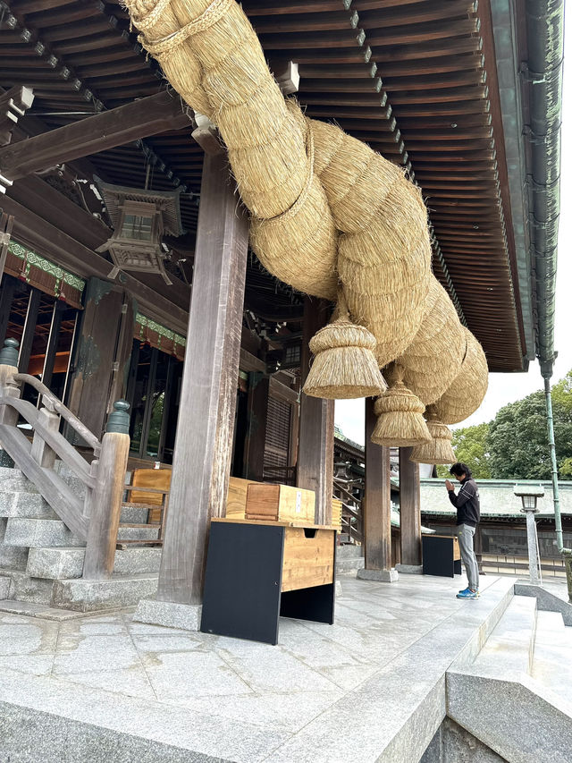 CMで話題となった光の道  3つの日本一がある神社