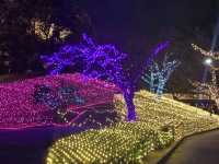 งานประดับไฟ Christmas 🎄 