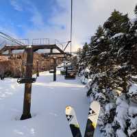 Winter Ski in Shiga Kogen Japan