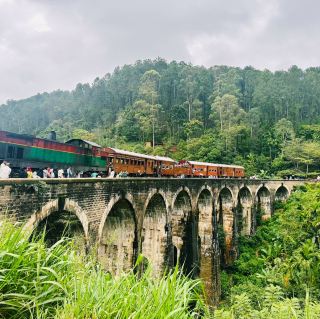 斯里蘭卡🇱🇰茶園火車