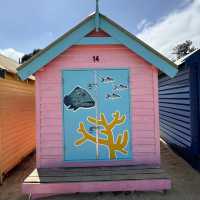 🏖️ 探訪布萊頓浴室小屋的絢麗時光 🌈 