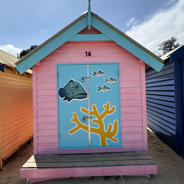 🏖️ 探訪布萊頓浴室小屋的絢麗時光 🌈 