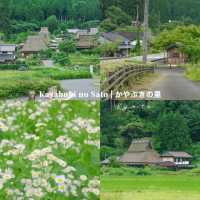 Kyoto - Osaka 15 โลเคชั่น ไม่มาถือว่าพลาดนะ!🇯🇵