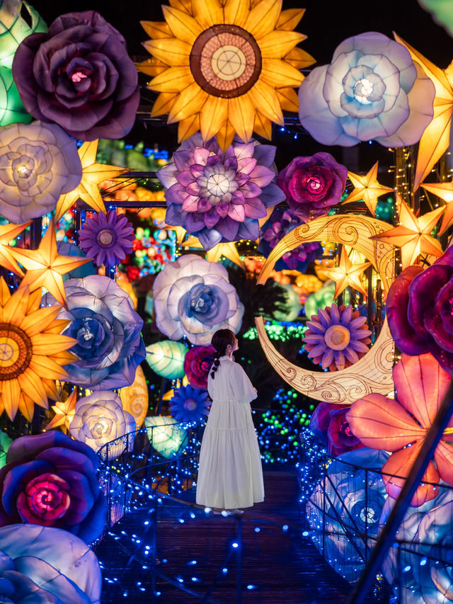 【イルミ攻略！💡】日本初の体験型イルミネーションが美しすぎる！😳🌙✨