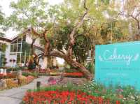 คาเฟ่สวนดอกไม้ Cakery 