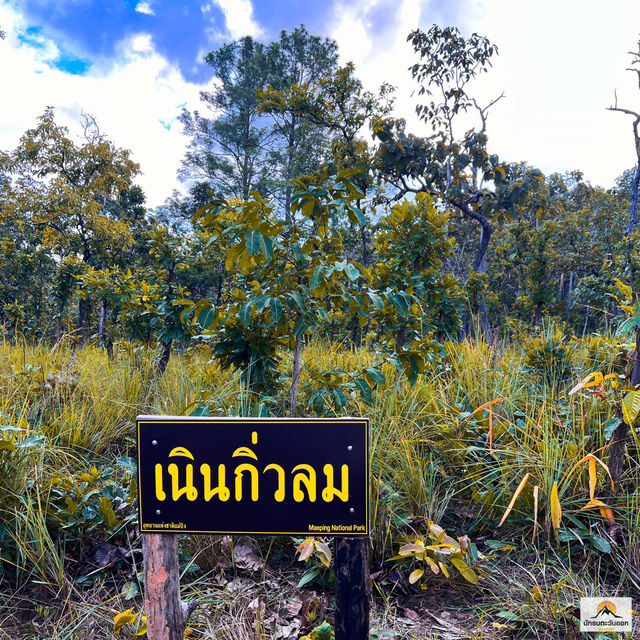 เดินป่าระยะไกลผาแดงหลวง