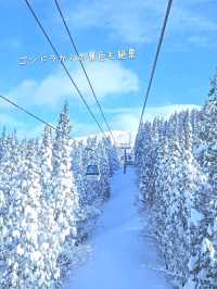 【秋田】日本三大樹氷『森吉山阿仁スキー場』