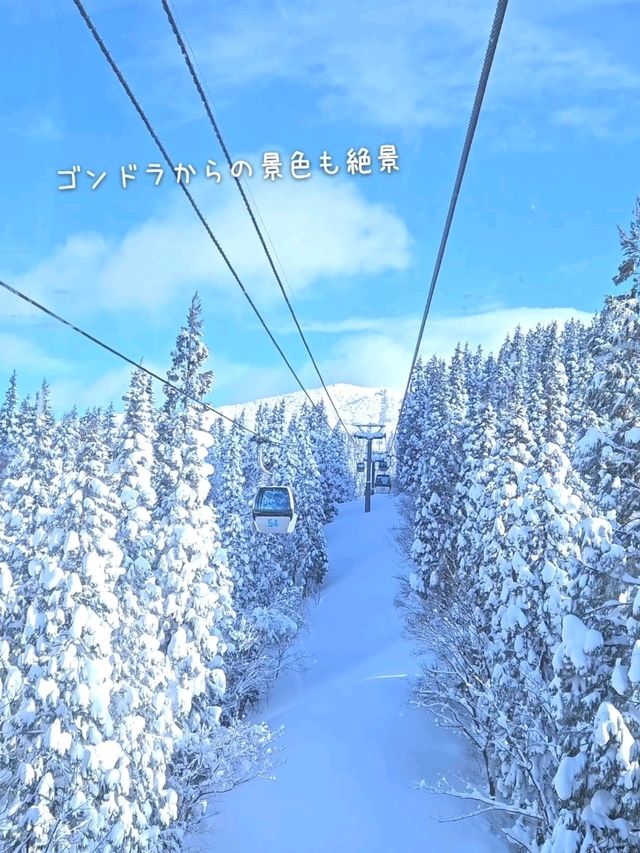 【秋田】日本三大樹氷『森吉山阿仁スキー場』