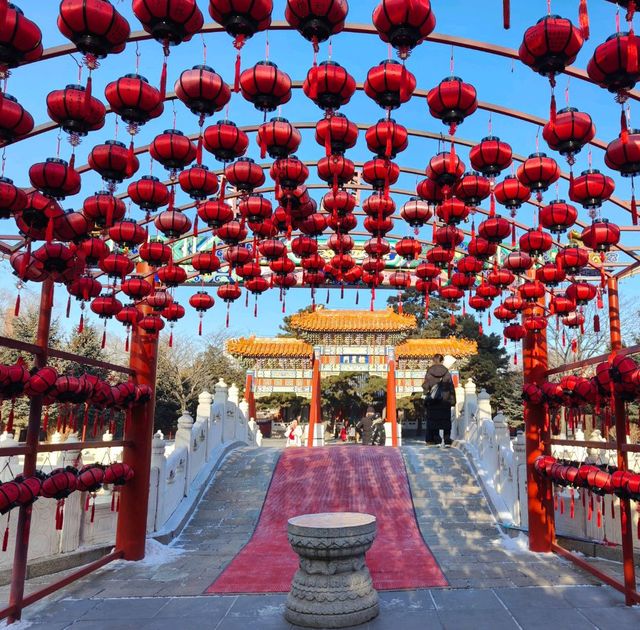 ไหว้พระ Harbin Confucius Temple
