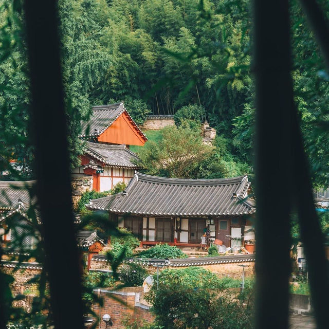 Juknokwon Bamboo Forest (Damyang)