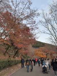 Kiyomizu-dera Temple