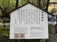 體驗愛與平靜的力量：野宮神社之旅 🌿✨