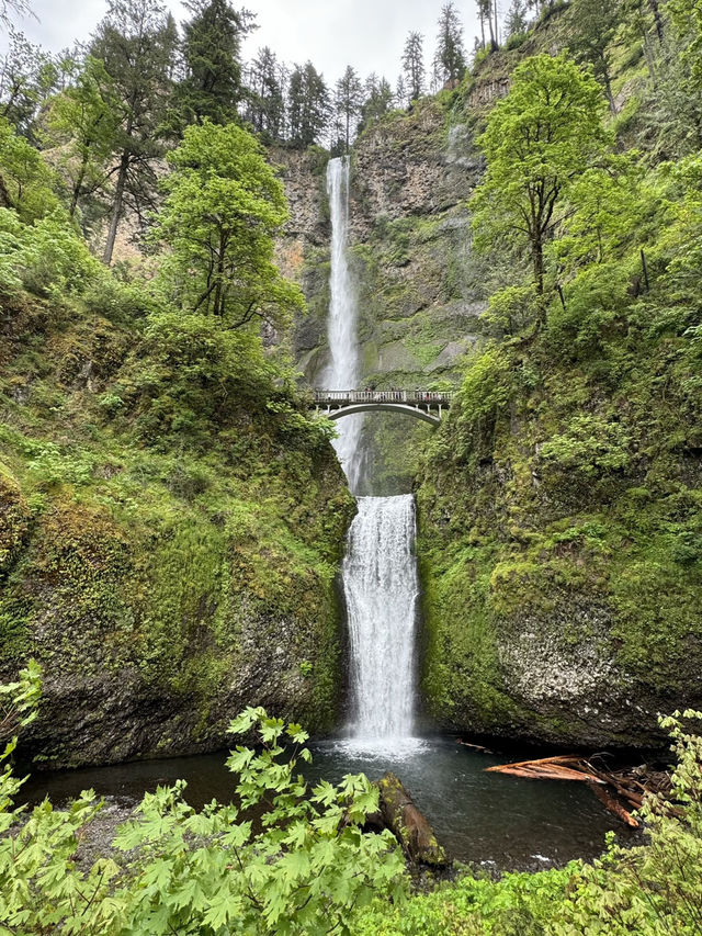 Amazing waterfall standing 600 ft tall!!