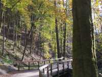 Saxon Switzerland National Park