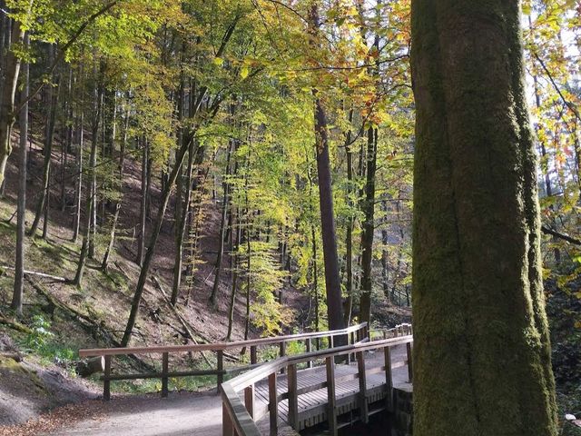 Saxon Switzerland National Park
