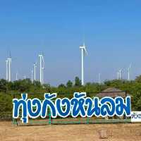 ทุ่งกังหันลม อ.สีคิ้ว ทางผ่านที่อยากจอด
