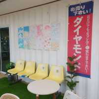 คาเฟ่ฟีลกู๊ด Hydrangea Cafe 