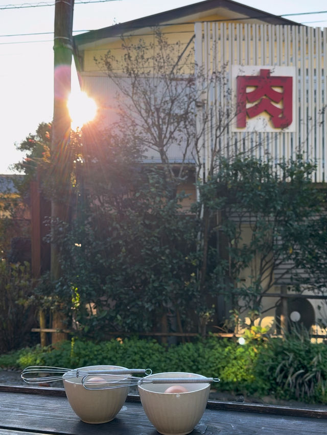 Grilled Fish and Passing Trains at Cafe Yoridokoro in Kamakura