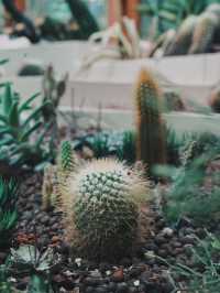 台北 城市中的綠色秘境 臺北典藏植物園