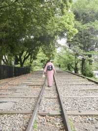 【京都】着物を着て京都を歩こう👘
