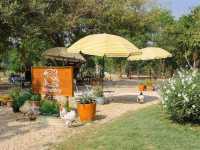 🏕️ บ้านสวนกำไรสุข 🌼 ฉะเชิงเทรา 