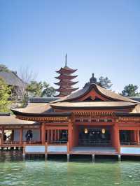 【広島】究極のパワースポット💪厳島神社で神秘体験✨
