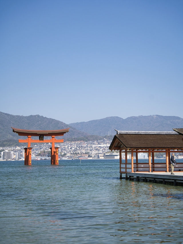 【広島】究極のパワースポット💪厳島神社で神秘体験✨