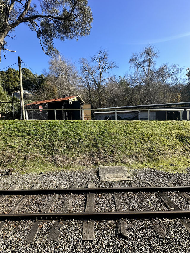 Puffing Billy Railway Ride! 