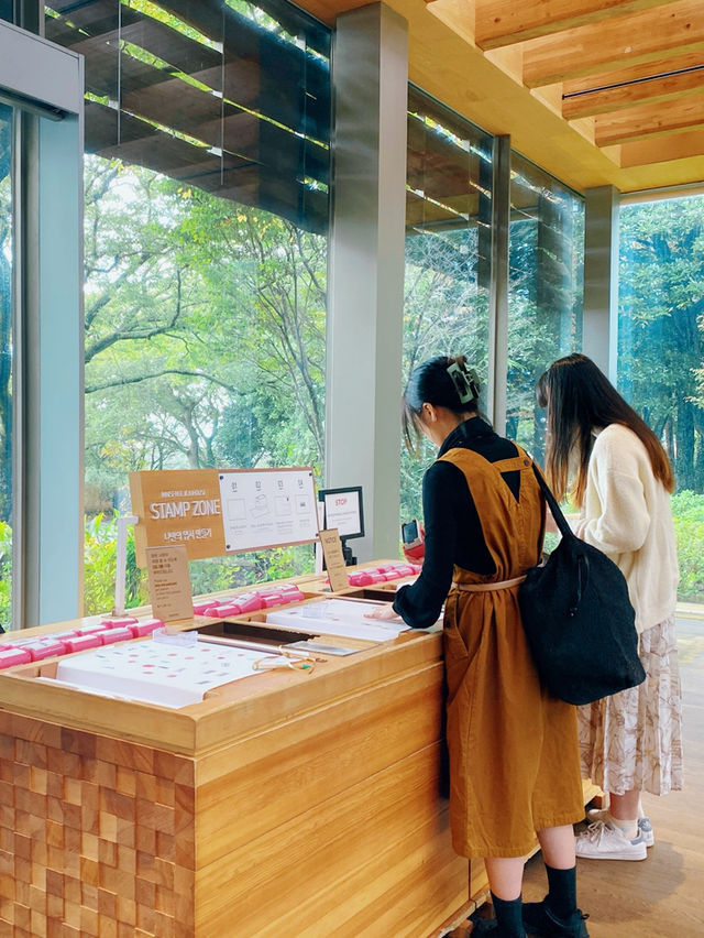 Innisfree濟州小屋 濟州島限定品及美味餐點