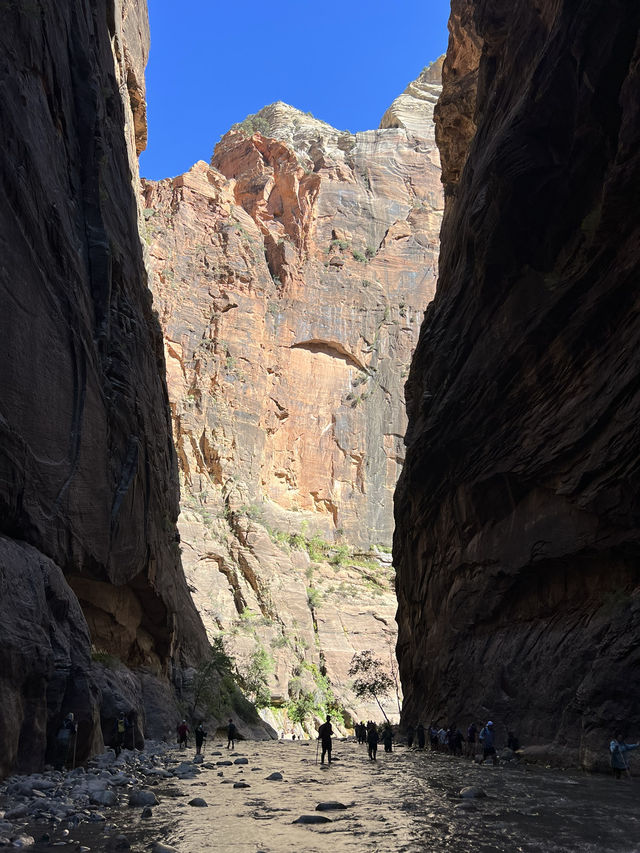 Amazing experience at Zion, Utah