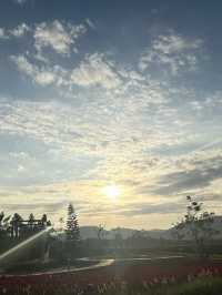 🍹 La Borne Point Phetchabun  🍹 