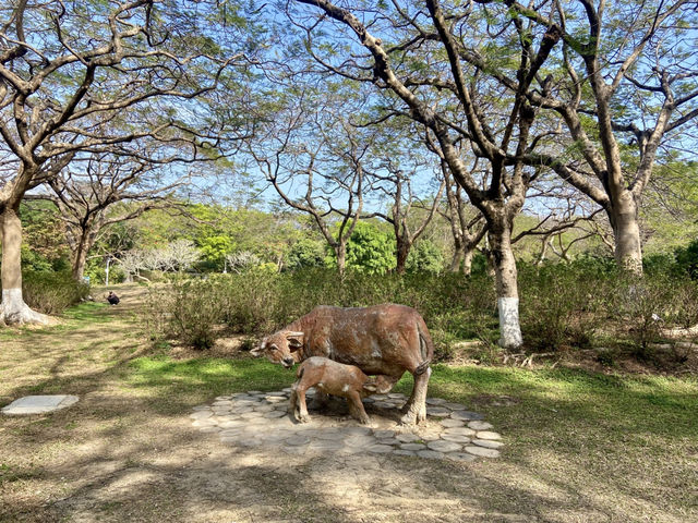 週末好去處🔥如非洲草原般的深圳「東湖公園」🌴🏞️