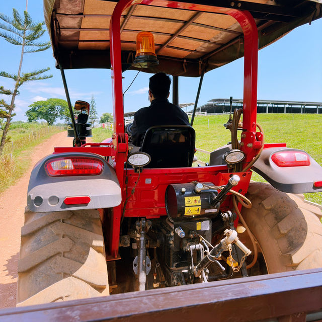 Fresh From the Farm: A Dairy Delight at Farm Fresh @UPM!