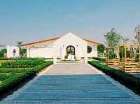 Lemon Me Farm 