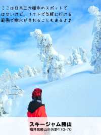 【日本全域】冬ならではの大絶景「日本三大樹氷 3選+α⁡⁡」