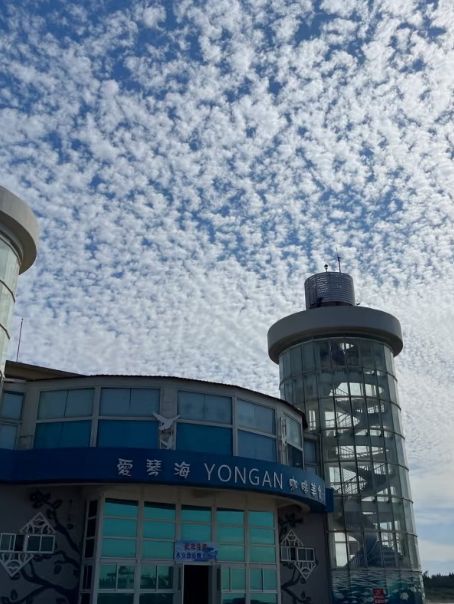 永安漁港：新鮮海味與海景好地方