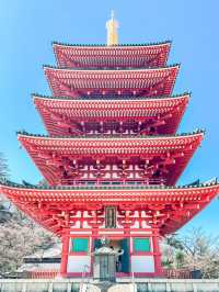 五重塔が美しい！四季折々の自然が楽しめる高幡不動尊