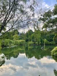 Beauty of Kallang River: A Picturesque Walk from Bishan Park