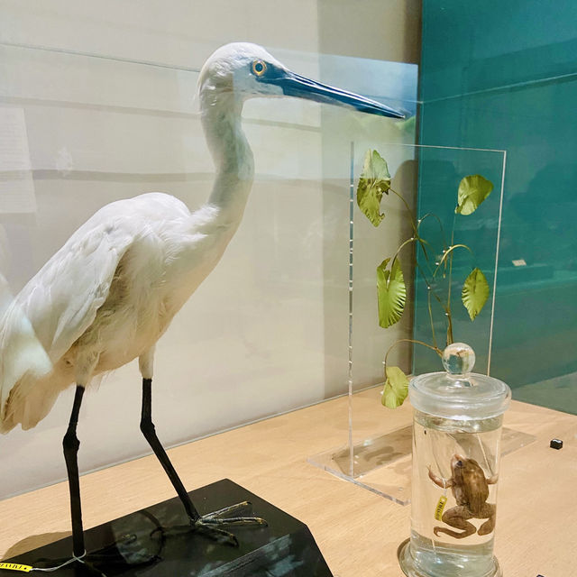 陳澄波130週年特展：藝術與自然的對話
