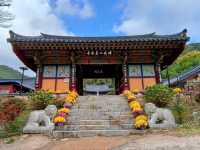 釜山長安寺，山林溪谷中的千年古剎