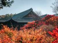 Tofukuji temple