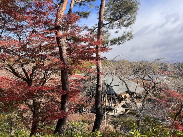 14th Century Garden in the Tenryu-ji Temple in Arashiyama