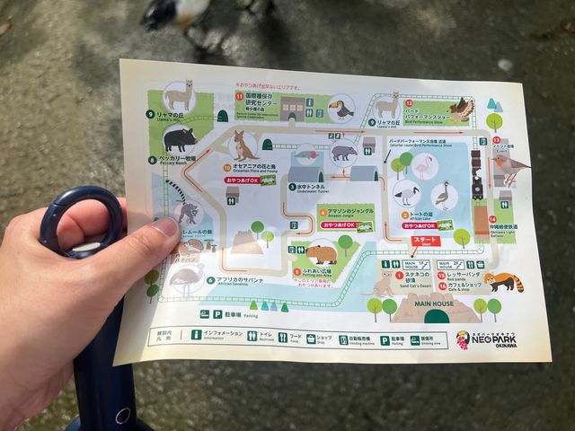 可愛的動物園，必坐小火車