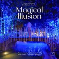 Magical Illusion 🎇✨