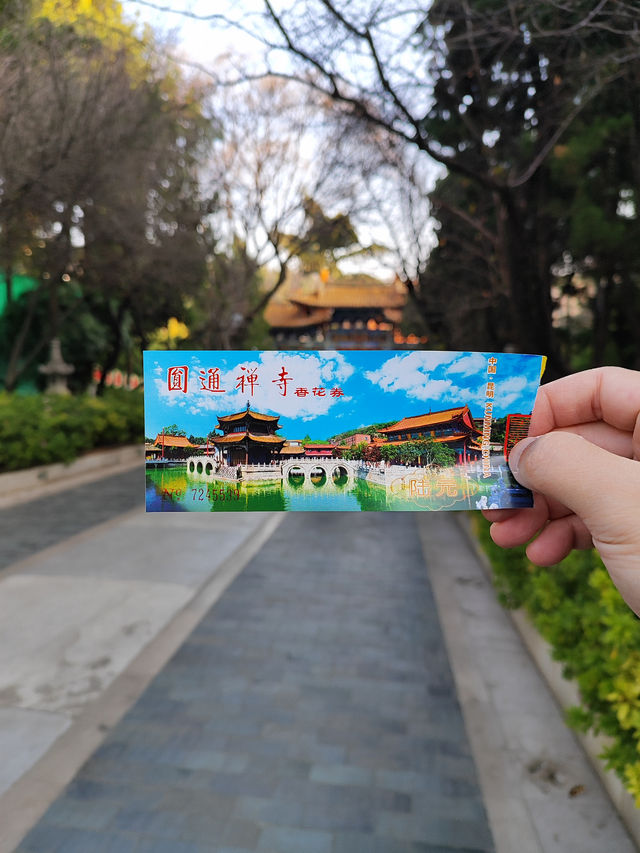 Kunming: A Captivating City of Natural Wonders