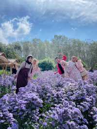 Phuvieng cafe - ภูเวียง คาเฟ่ จ.สุราษฎร์ธานี
