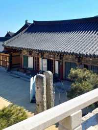 부산의 숨겨진 산속 사찰🌿🏯